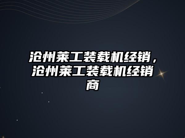 滄州萊工裝載機(jī)經(jīng)銷，滄州萊工裝載機(jī)經(jīng)銷商