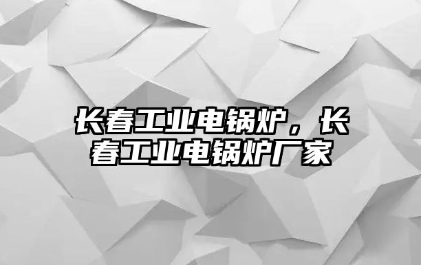 長春工業(yè)電鍋爐，長春工業(yè)電鍋爐廠家