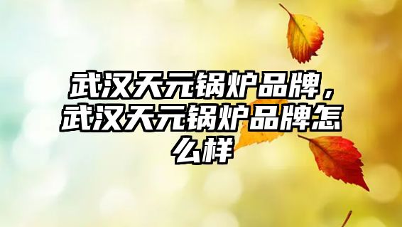 武漢天元鍋爐品牌，武漢天元鍋爐品牌怎么樣