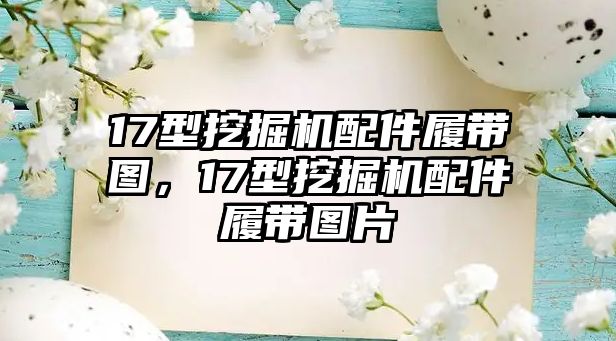 17型挖掘機配件履帶圖，17型挖掘機配件履帶圖片