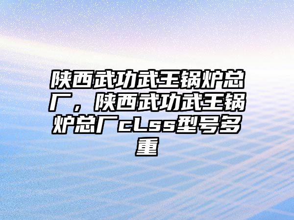 陜西武功武王鍋爐總廠，陜西武功武王鍋爐總廠cLss型號多重