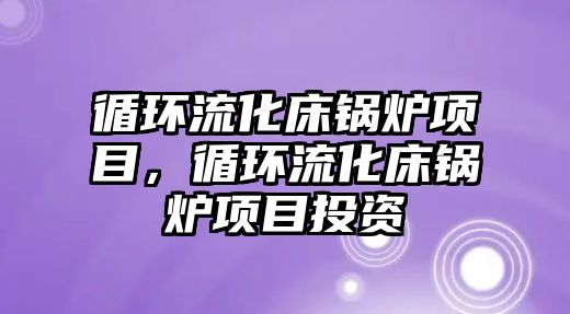 循環(huán)流化床鍋爐項目，循環(huán)流化床鍋爐項目投資