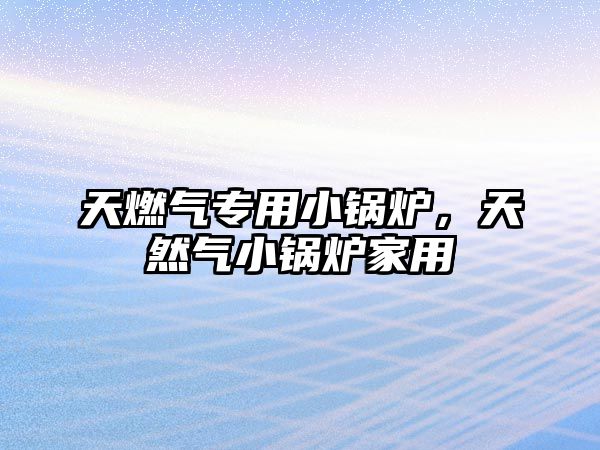 天燃?xì)鈱Ｓ眯″仩t，天然氣小鍋爐家用