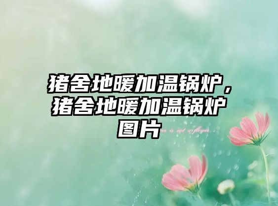 豬舍地暖加溫鍋爐，豬舍地暖加溫鍋爐圖片