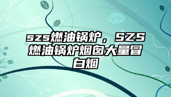 szs燃油鍋爐，SZS燃油鍋爐煙囪大量冒白煙