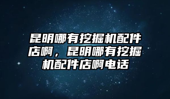 昆明哪有挖掘機(jī)配件店啊，昆明哪有挖掘機(jī)配件店啊電話