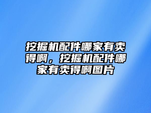 挖掘機(jī)配件哪家有賣得啊，挖掘機(jī)配件哪家有賣得啊圖片