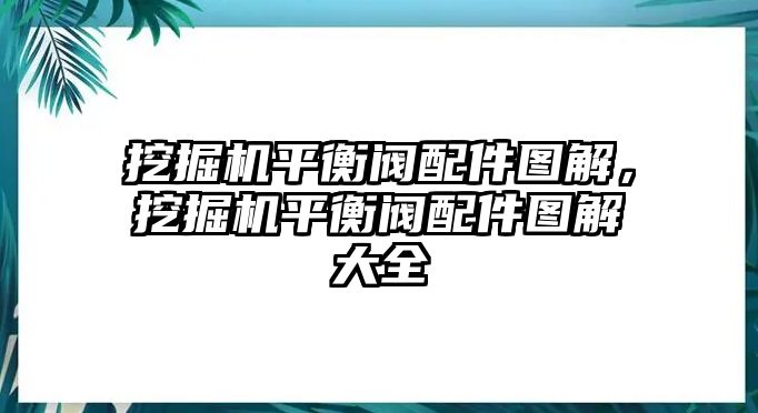 挖掘機平衡閥配件圖解，挖掘機平衡閥配件圖解大全