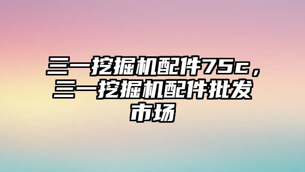 三一挖掘機配件75c，三一挖掘機配件批發(fā)市場