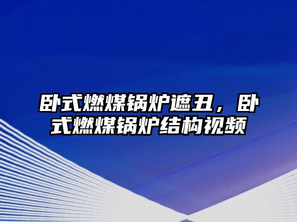 臥式燃煤鍋爐遮丑，臥式燃煤鍋爐結構視頻