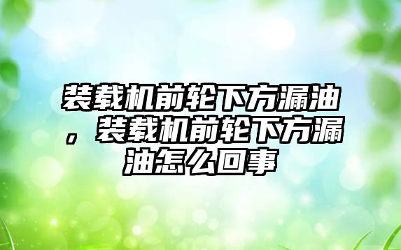 裝載機(jī)前輪下方漏油，裝載機(jī)前輪下方漏油怎么回事