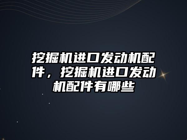 挖掘機進口發(fā)動機配件，挖掘機進口發(fā)動機配件有哪些