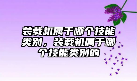 裝載機屬于哪個技能類別，裝載機屬于哪個技能類別的