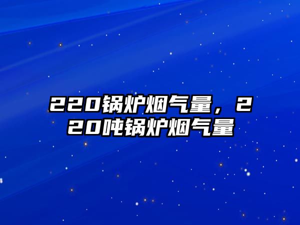 220鍋爐煙氣量，220噸鍋爐煙氣量