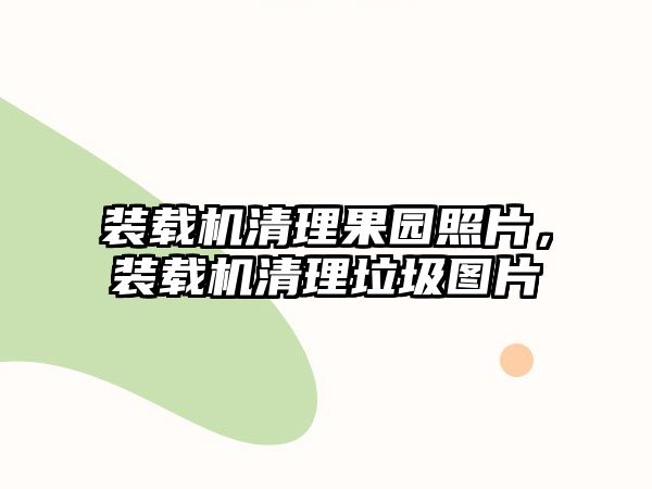 裝載機清理果園照片，裝載機清理垃圾圖片