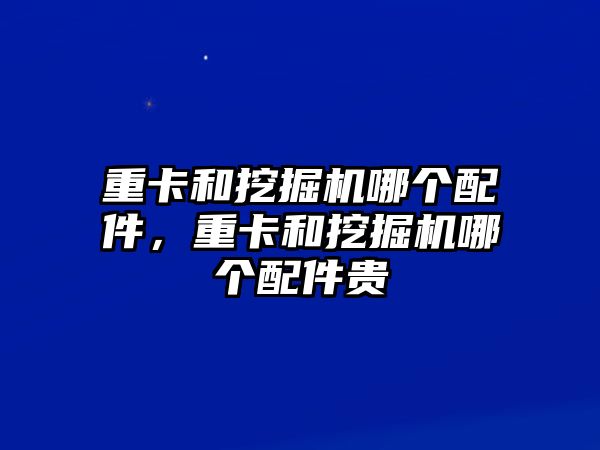 重卡和挖掘機哪個配件，重卡和挖掘機哪個配件貴