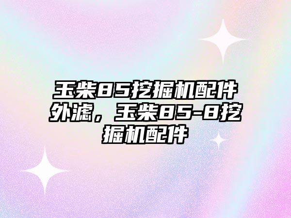 玉柴85挖掘機配件外濾，玉柴85-8挖掘機配件