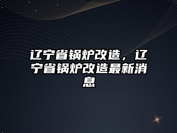 遼寧省鍋爐改造，遼寧省鍋爐改造最新消息