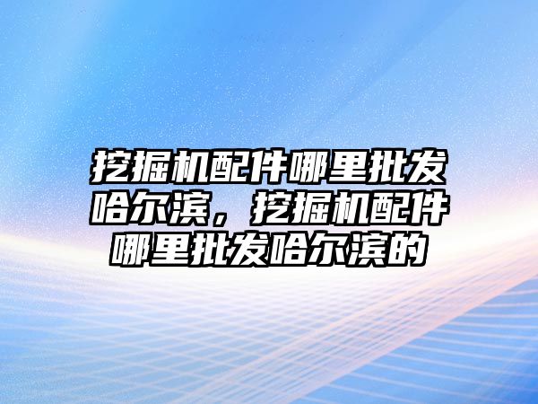 挖掘機配件哪里批發(fā)哈爾濱，挖掘機配件哪里批發(fā)哈爾濱的