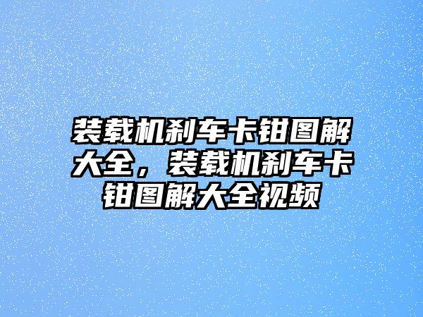 裝載機(jī)剎車卡鉗圖解大全，裝載機(jī)剎車卡鉗圖解大全視頻