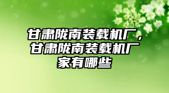 甘肅隴南裝載機廠，甘肅隴南裝載機廠家有哪些