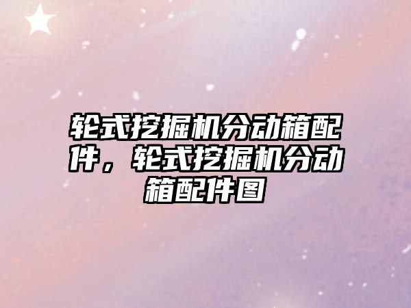 輪式挖掘機分動箱配件，輪式挖掘機分動箱配件圖