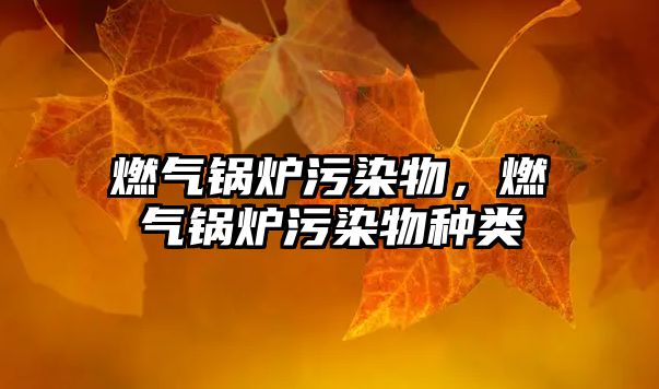 燃?xì)忮仩t污染物，燃?xì)忮仩t污染物種類