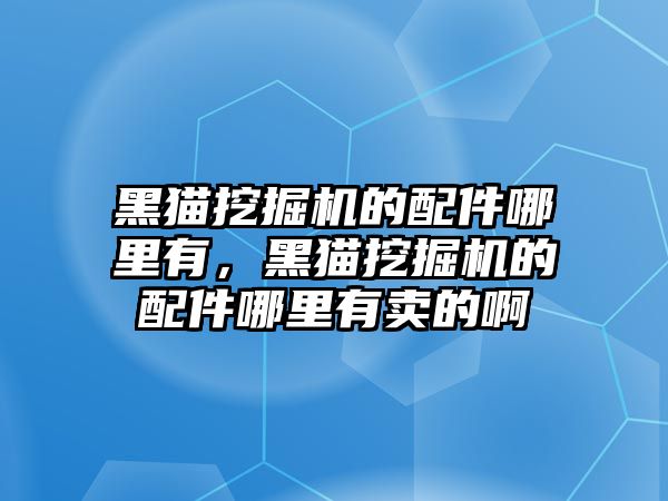 黑貓挖掘機的配件哪里有，黑貓挖掘機的配件哪里有賣的啊