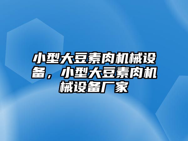 小型大豆素肉機(jī)械設(shè)備，小型大豆素肉機(jī)械設(shè)備廠家