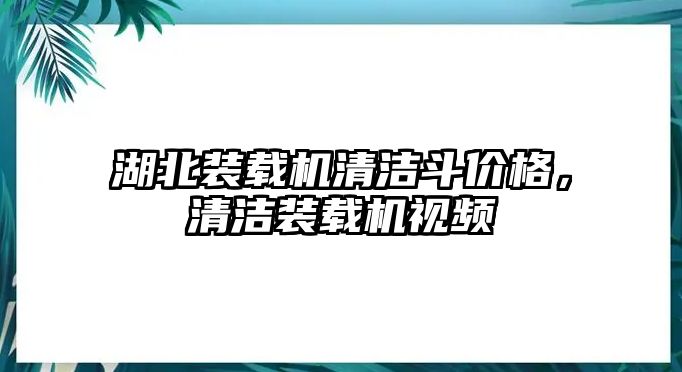 湖北裝載機清潔斗價格，清潔裝載機視頻