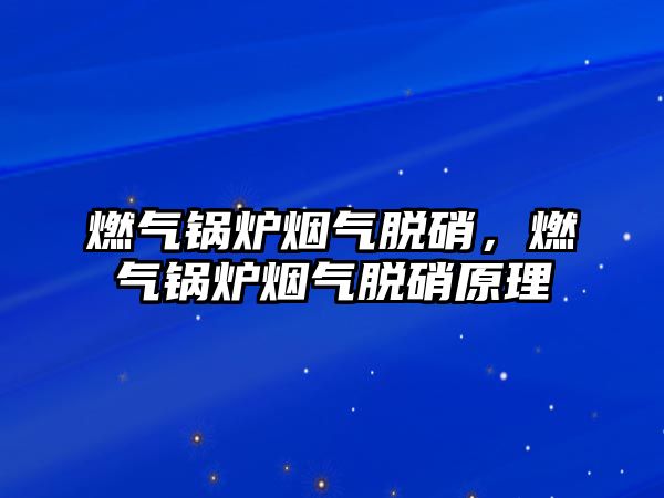 燃氣鍋爐煙氣脫硝，燃氣鍋爐煙氣脫硝原理