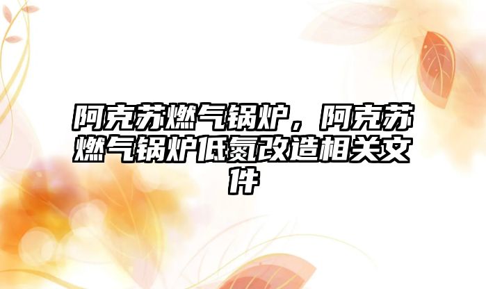 阿克蘇燃?xì)忮仩t，阿克蘇燃?xì)忮仩t低氮改造相關(guān)文件