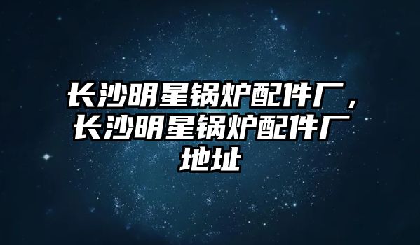 長沙明星鍋爐配件廠，長沙明星鍋爐配件廠地址