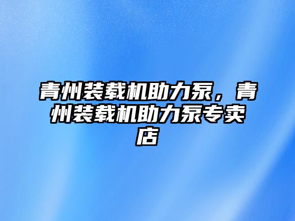 青州裝載機助力泵，青州裝載機助力泵專賣店