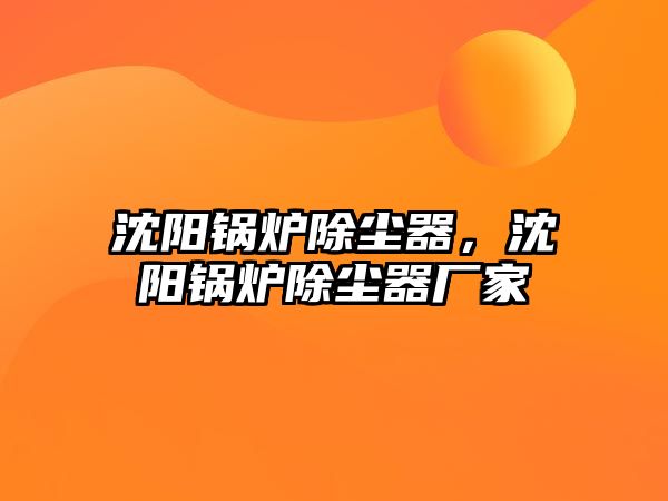 沈陽(yáng)鍋爐除塵器，沈陽(yáng)鍋爐除塵器廠家