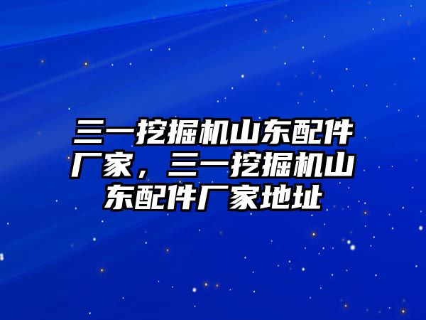 三一挖掘機(jī)山東配件廠家，三一挖掘機(jī)山東配件廠家地址