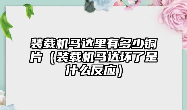 裝載機馬達里有多少銅片（裝載機馬達壞了是什么反應(yīng)）