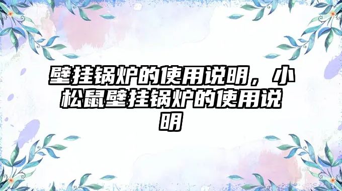 壁掛鍋爐的使用說明，小松鼠壁掛鍋爐的使用說明