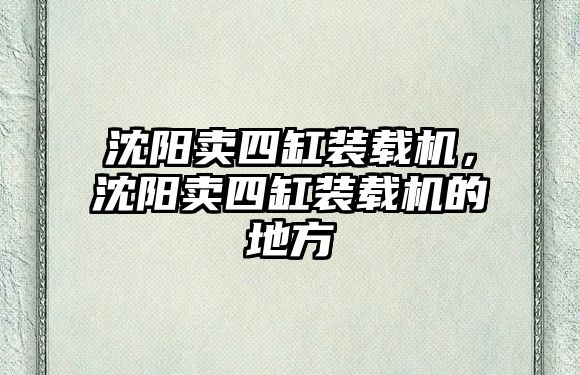 沈陽賣四缸裝載機，沈陽賣四缸裝載機的地方