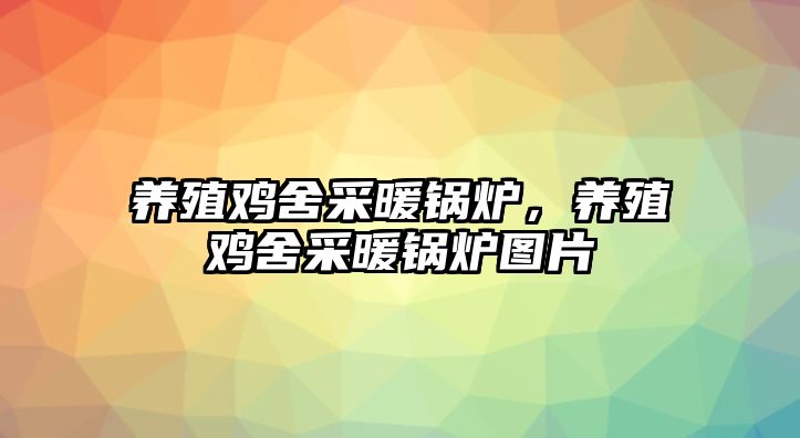 養(yǎng)殖雞舍采暖鍋爐，養(yǎng)殖雞舍采暖鍋爐圖片