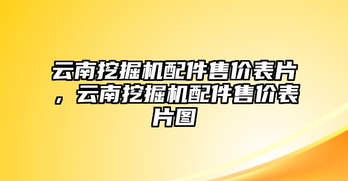 云南挖掘機(jī)配件售價(jià)表片，云南挖掘機(jī)配件售價(jià)表片圖