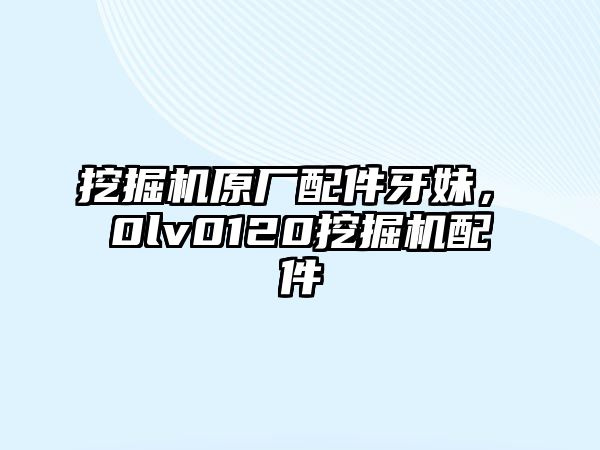 挖掘機原廠配件牙妹，ⅴ0lv0120挖掘機配件