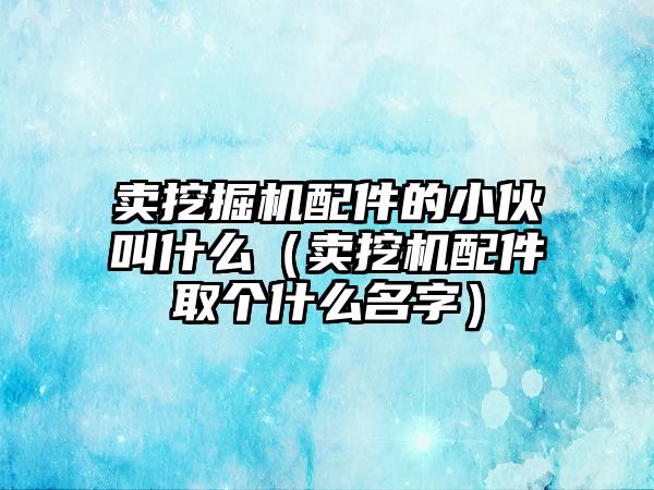 賣挖掘機配件的小伙叫什么（賣挖機配件取個什么名字）