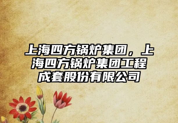 上海四方鍋爐集團(tuán)，上海四方鍋爐集團(tuán)工程成套股份有限公司