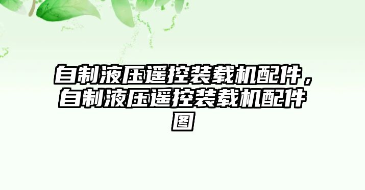 自制液壓遙控裝載機配件，自制液壓遙控裝載機配件圖