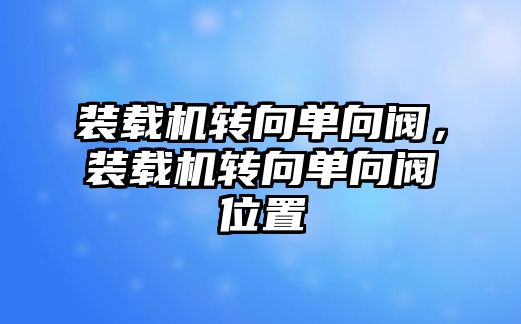 裝載機轉(zhuǎn)向單向閥，裝載機轉(zhuǎn)向單向閥位置