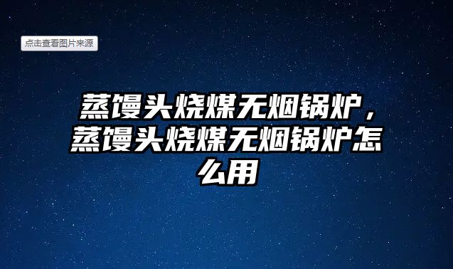 蒸饅頭燒煤無(wú)煙鍋爐，蒸饅頭燒煤無(wú)煙鍋爐怎么用