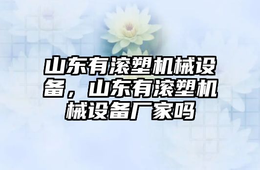 山東有滾塑機械設備，山東有滾塑機械設備廠家嗎