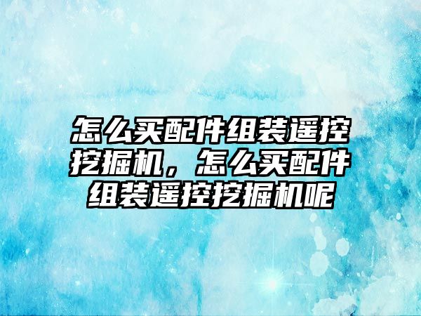 怎么買配件組裝遙控挖掘機(jī)，怎么買配件組裝遙控挖掘機(jī)呢