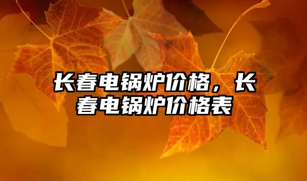 長春電鍋爐價格，長春電鍋爐價格表